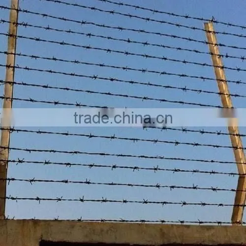 Galvanized Barbed Wire