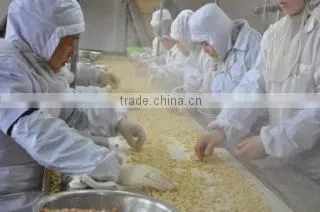 Qingdao DYTD Foods Co., Ltd. company overview - view 3