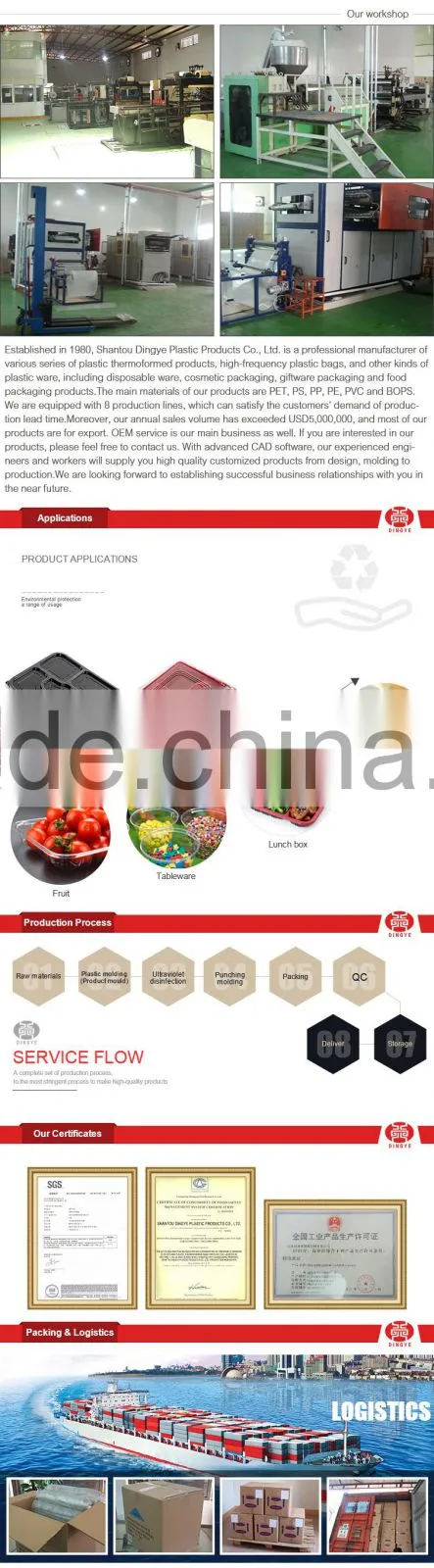 Disposable Plastic PET Packaging Tray Food-grade safty Eco-friendly Transaprent DY-PA001
