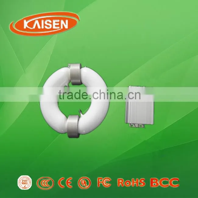 2015 40w jiangsu professional lighting lvd induction lamp wall light