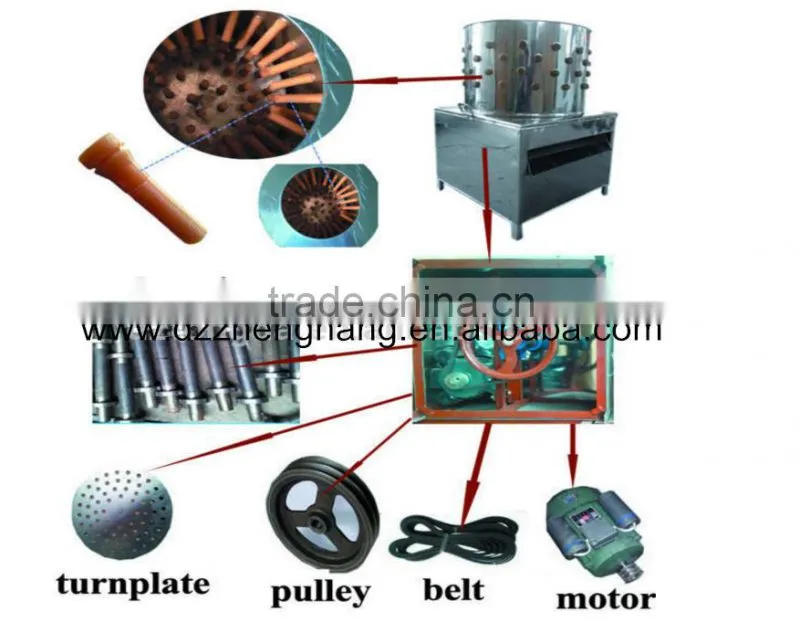 ZH-40 automatic bird depilator machine/ quail plucker machine