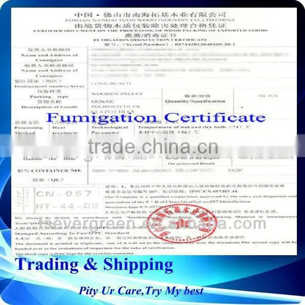 International express freight forwarder shipping to Dubai