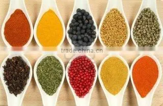 Sunita Exports company overview - view 2