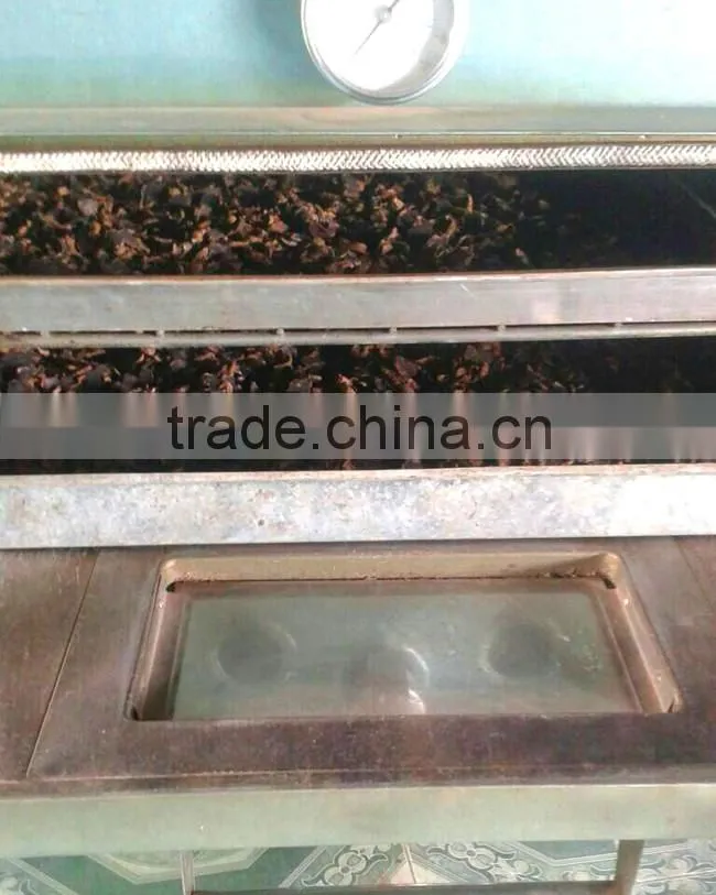 Dried Thai herbal Kaempferia Parviflora Black Ginger Root