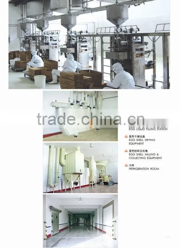 egg white powder dry high quality