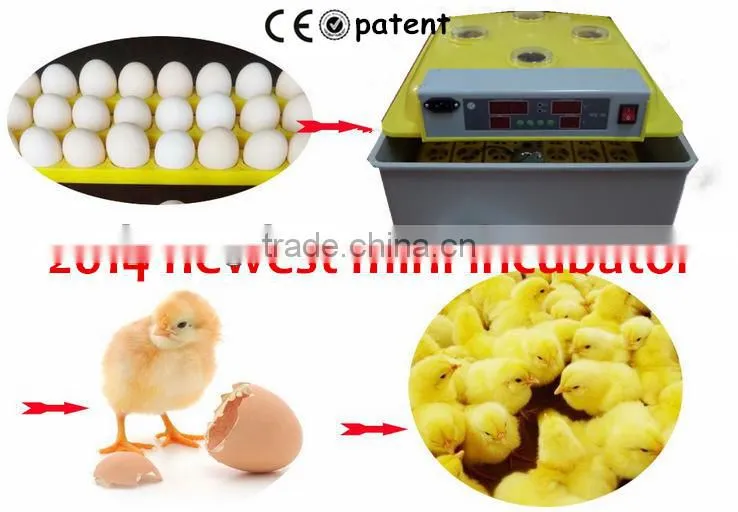 China TONGDA Coal Full Automatic Holding 48 eggs incubator egg tester for free