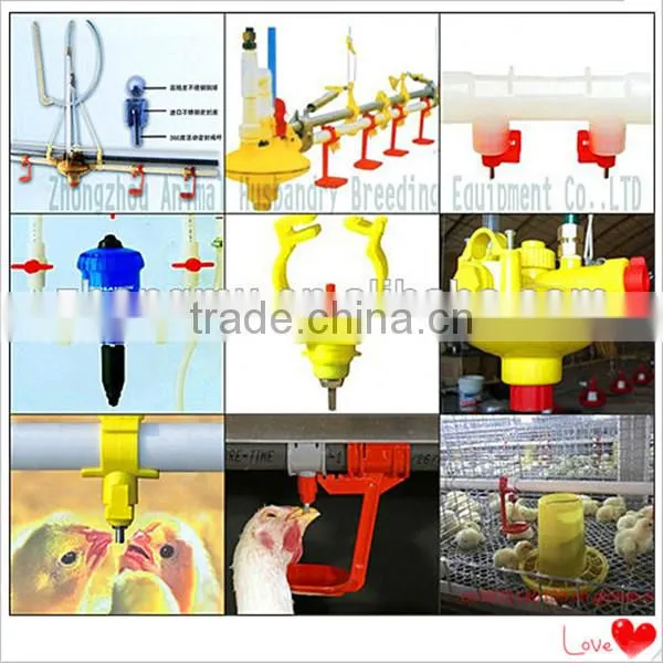 fully automatic chicken cage equipment for poultry farming