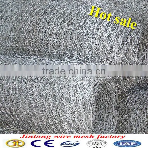 anping jintong bird cage wire mesh/chicken wire Low Price