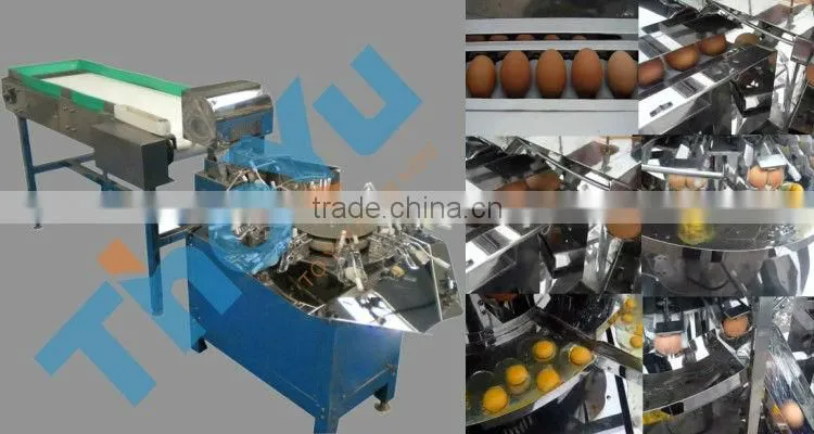 Food Degree Full stainless steel Egg Crushing and White Yolk Separator Machine(SMS:0086 15903677328)