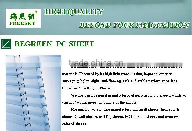 Guangzhou BEGREEN clear twinwall polycarbonate sheet, plastic roofing panels