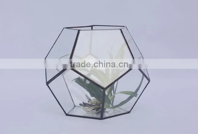 Attractive indoor decor glass flower vase clear glass terrarium globe
