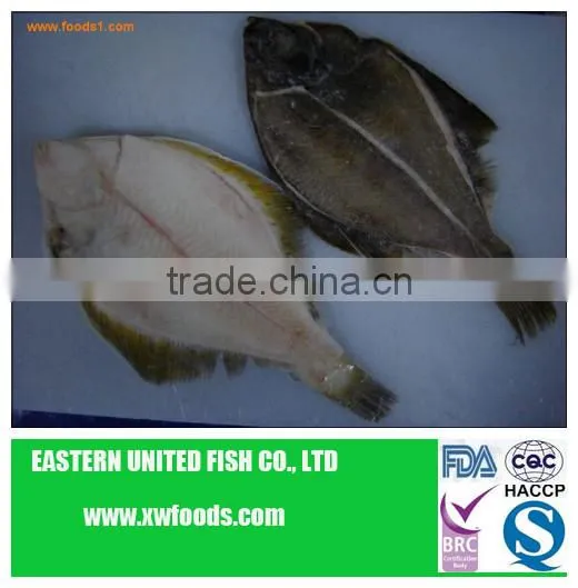 seafood sole-yellow fin fillets