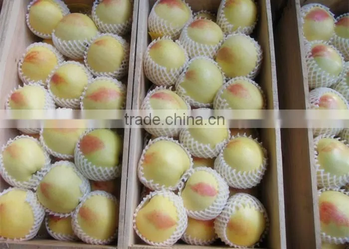 Rose flower protective packing foam net