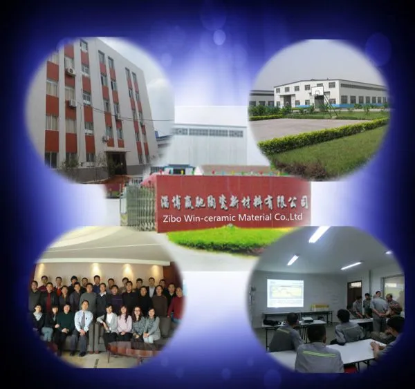 Zibo Win-Ceramic Material Co., Ltd company overview - view 1