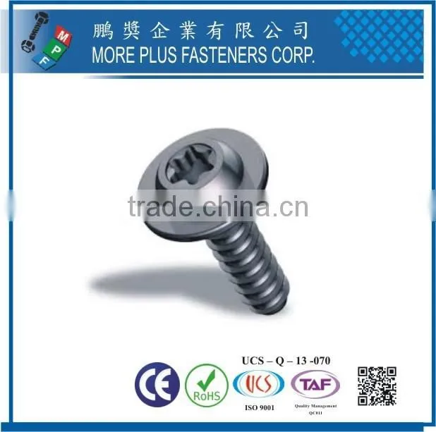 Maker in Taiwan Hot sales Stainless Steel Thread Forming Screws