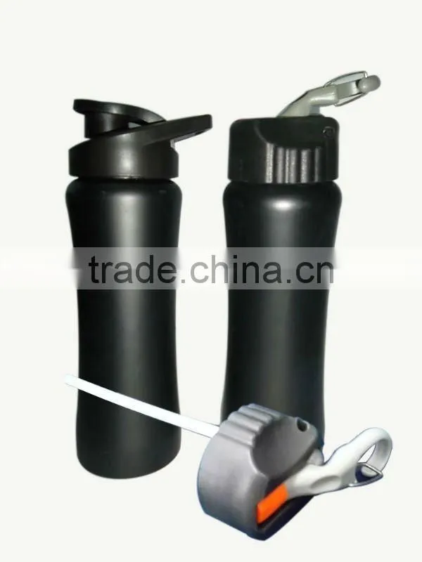 stainless steel water bottle (with straw)