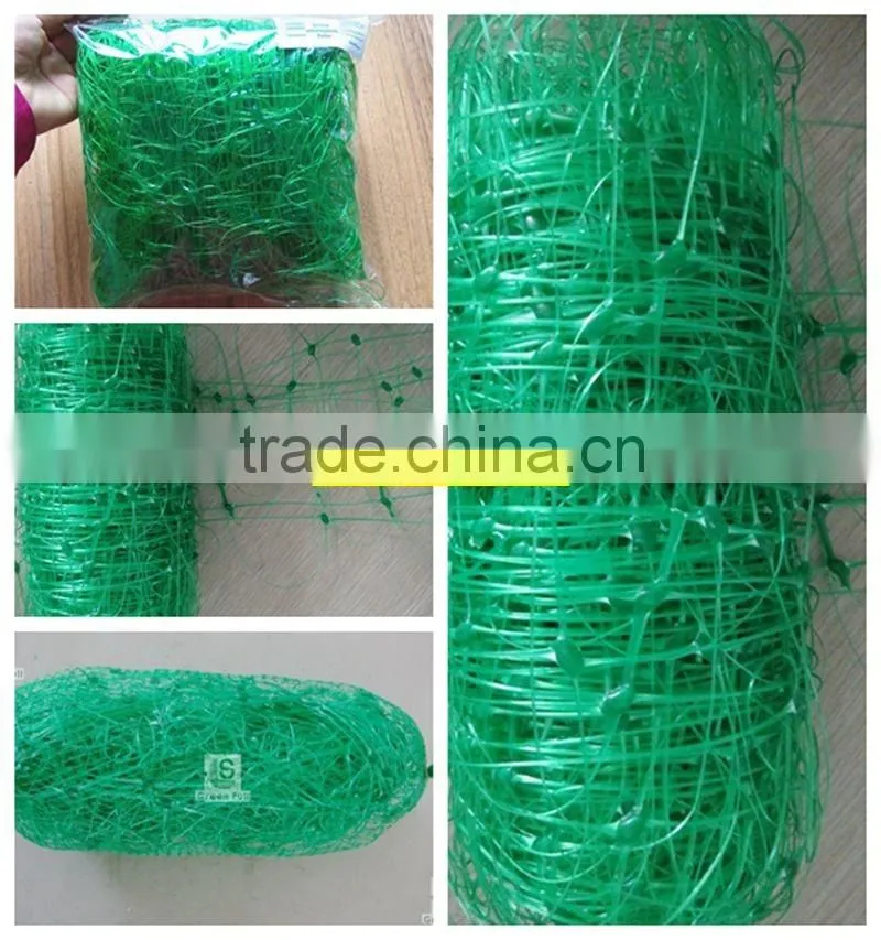 Export Standard Flower Support Net