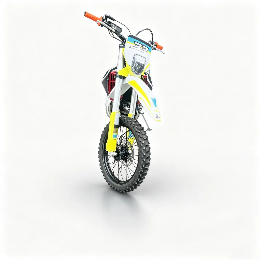 wang-dirt bike (6)