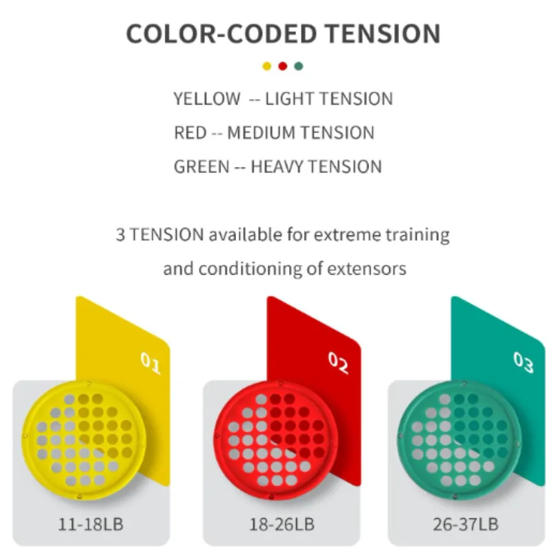 Custom Hand Exercise Web7