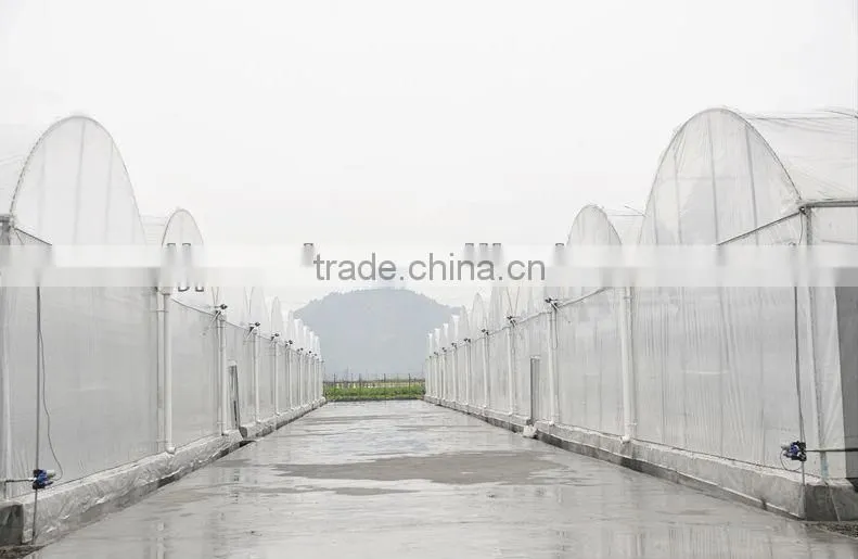 Galvanized Steel Truss Greenhouse