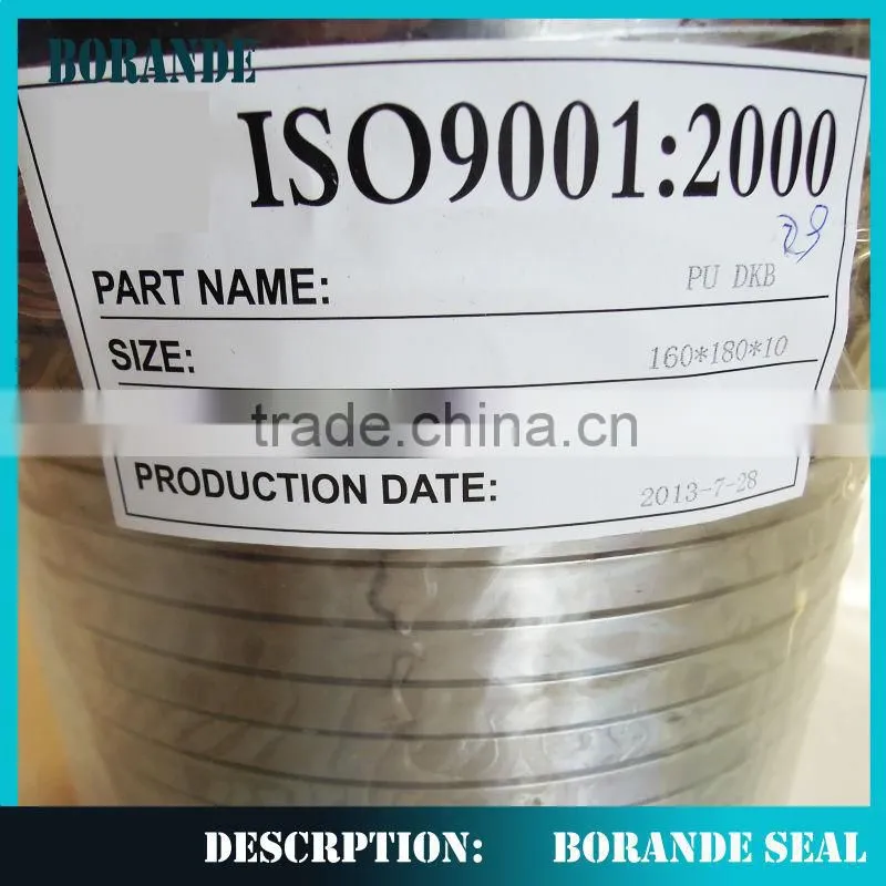 Hydraullic cylinder seal SPGO Seal Glyd Ring spgo piston seal