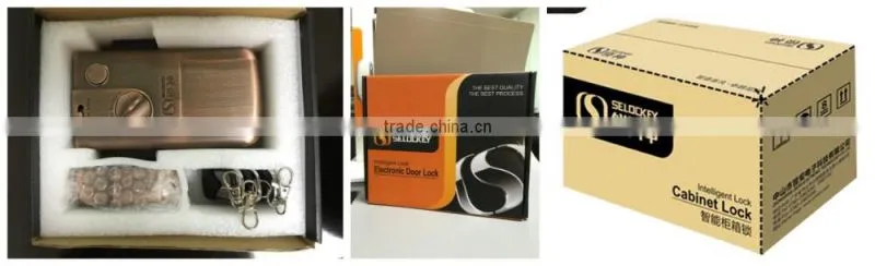 High security lock, hidden lock ,anti-thief lock for home(LY15CR2)