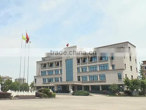 Jiujiang Xinxing Fiberglass Material Co., Ltd. company overview - view 1