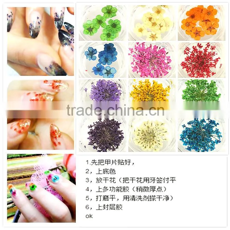 Stickers & Decals 3D Dry Flower, Mix 12 Color Decoration Real Dried Dry Flower for Nail Art Decoration ZX:GH743