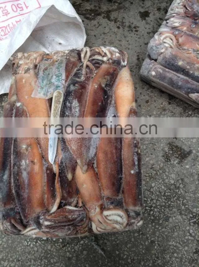 squid 400-600 double hooks squid hooks in Argentine sea