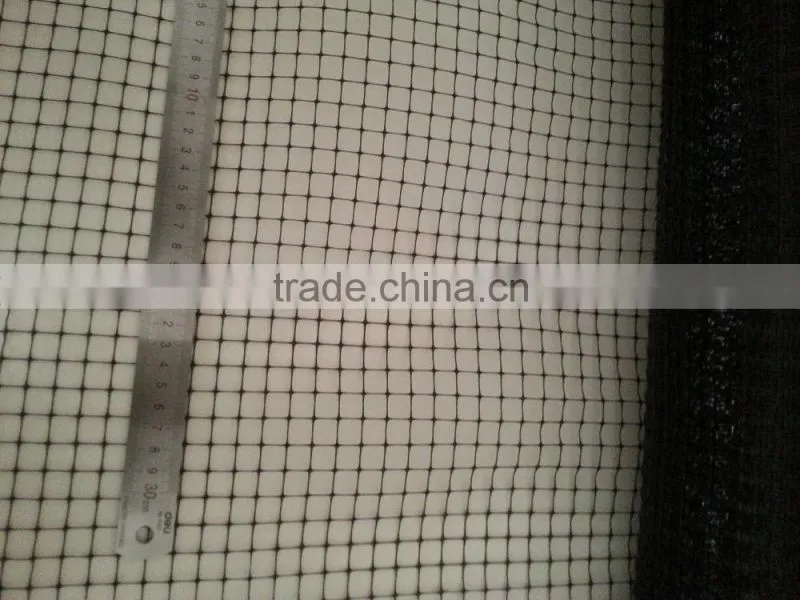 Anti- bird plastic netting in agriculture