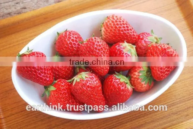 Japanese very popular wagashi ENDO's 'Zero Calorie' Japanese-style Strawberry Jelly 88g