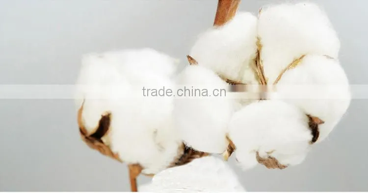 Good Price White Duck Feather Down Mattress Topper