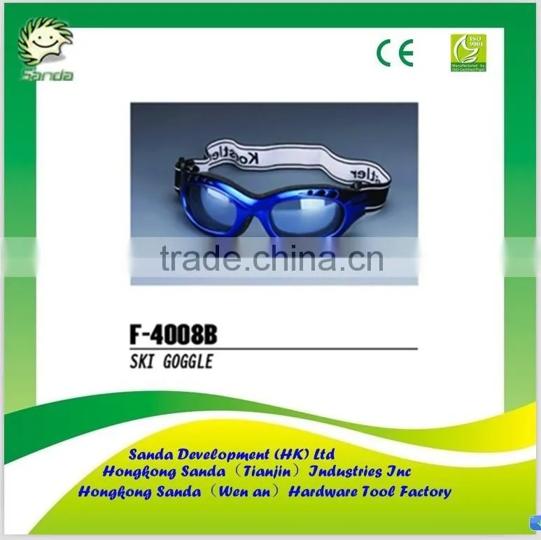 Custom ski goggle with price