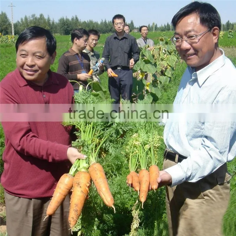 SAP for agriculture