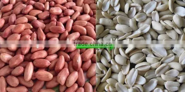 Peanut stripping machine/ groundnut stripper/ peanut half machine