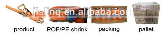 Cargo Lashing Strap/ Ratchet Tie Down Strap/ Load Binder