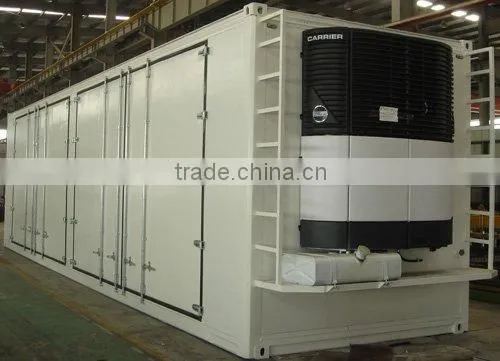 Special container/Reefer/Reefer container/container/transportation to South America