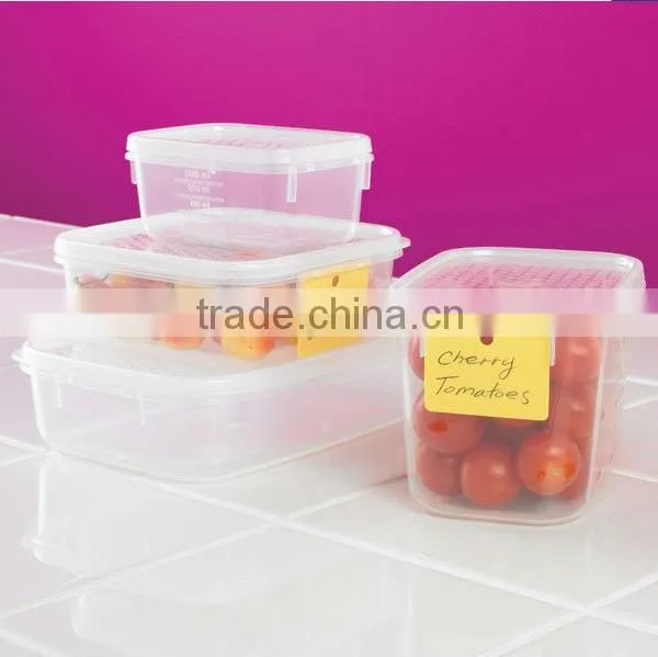 Oblong Plastic food storage Container