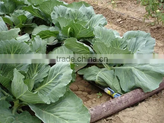 PVC LAY FLAT HOSE FOR DRIP IRRIGATION