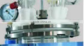 Jacketed Glass Reactor 2L