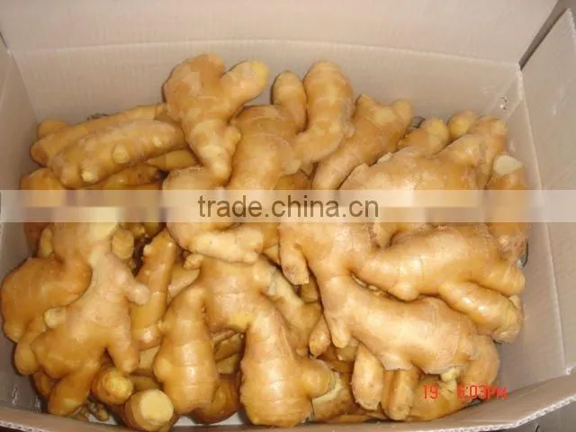 Fresh dried ginger