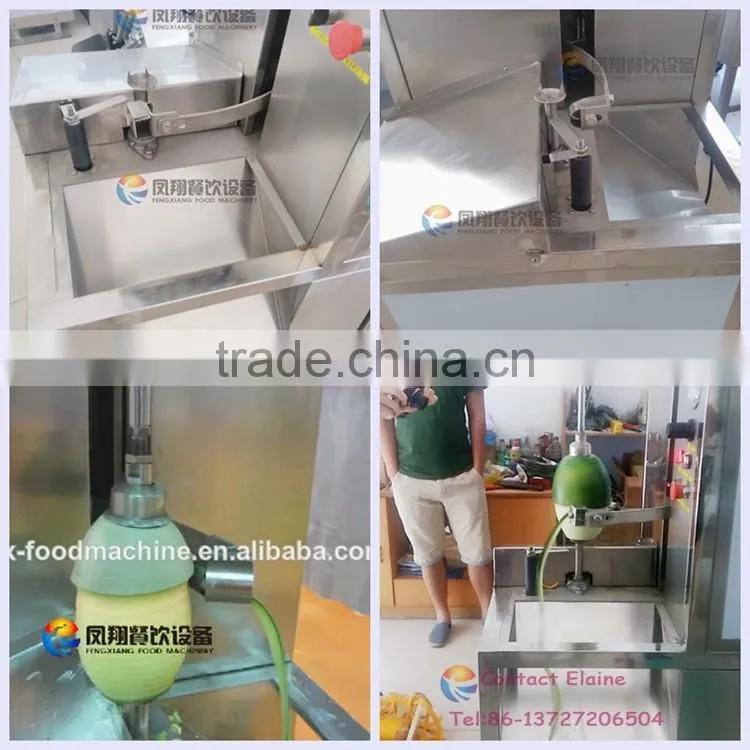 High Efficiency Pineapple/Grape fruit Skin Peeler Peeling Machine