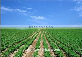 Linyi Shansong Biological Products Co., Ltd. company overview - view 2