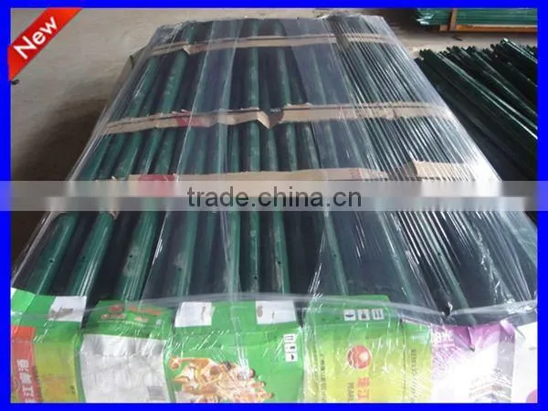 China DM factory steel palisade fencing supply
