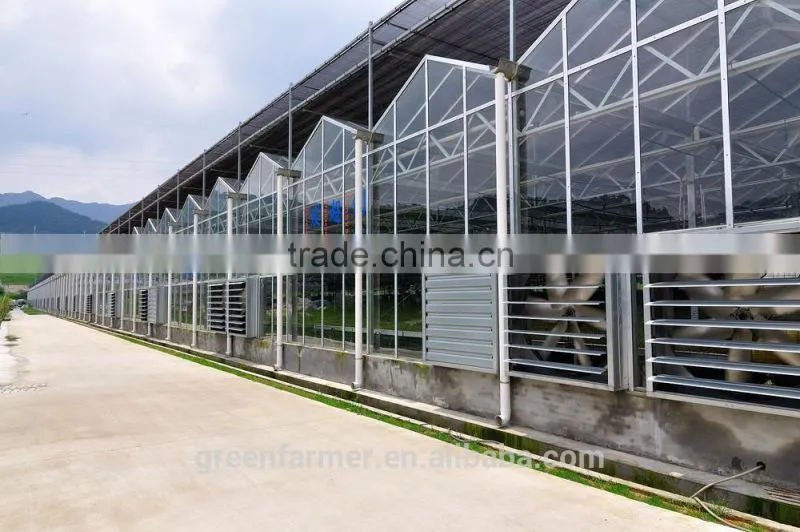 hot sale glass grow tent/green house shade green house design