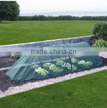 Green color PE Agricultural Plastic Perforated Film with UV for protective tomato tree