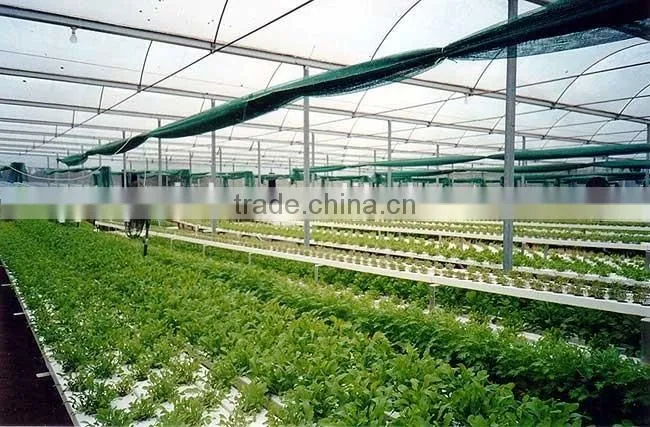 Hydroponics Growing Systems