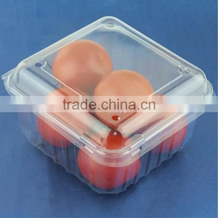 Disposable PP Fruit Punnet Blister Packaging