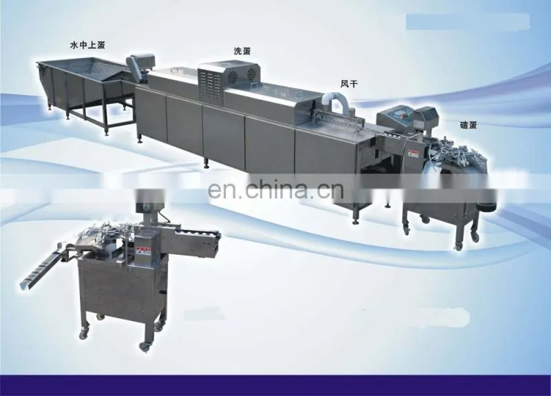 Factory Professional Selling Full-function Hen egg/Duck egg/Salted duck egg washing machine