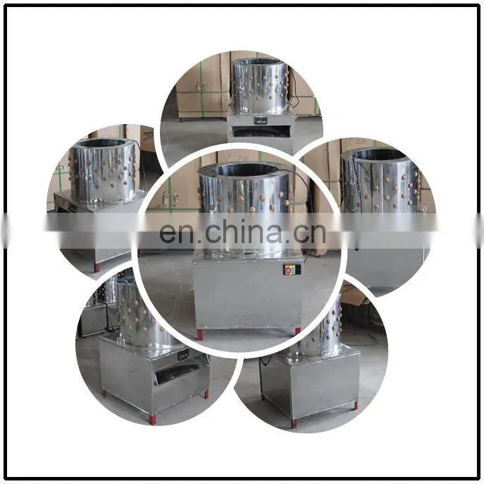 Automatic poultry plucker processing 3-5pcs chicken/chicken feather plucking machine price